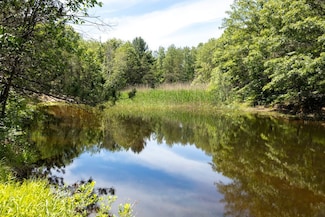 0 V L 13 Mile Rd, Bitely, MI 49309