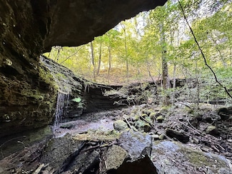 0 Greta Rd Unit 24875709, West Griggs Township, AR 72031