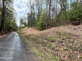 0 Mt Pleasant Rd Unit 1318303, Vonore, TN 37885