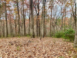 325 Highridge Pkwy, Marietta, SC 29661