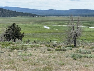 0 Drews Rd Unit 220203153, Chiloquin, OR 97639