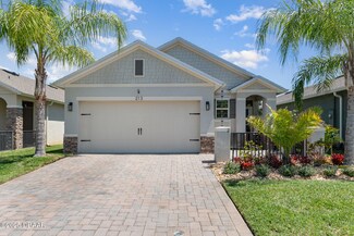 213 Caryota Ct, New Smyrna Beach, FL 32168
