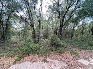 816 Crestwood Ave, Inverness, FL 34453