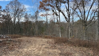 0 Gaddie Cottrell Unit LotWP001, Bonnieville, KY 42713