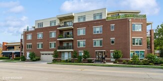 1212 Vine Ave Unit 2, Park Ridge, IL 60068