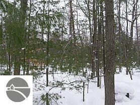 40 Acres Nine Mile Bridge, Wellston, MI 49689