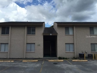 5502 Pokeweed Ct Unit 161, Tampa, FL 33617