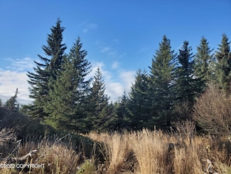 17309 Kimeluk St, Ninilchik, AK 99639