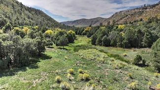 TBD Road 46, Mancos, CO 81328
