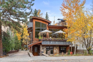 1016 E Hopkins Ave, Aspen, CO 81611