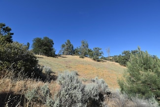 0 Skyline Dr Unit 9992737, Tehachapi, CA 93561