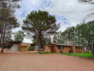 15 Apache Ln, Tularosa, NM 88352