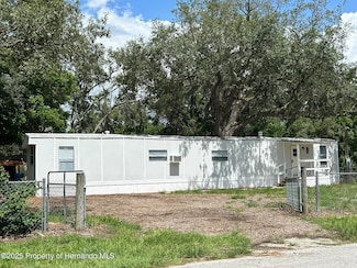 3236 Painters St, Spring Hill, FL 34606