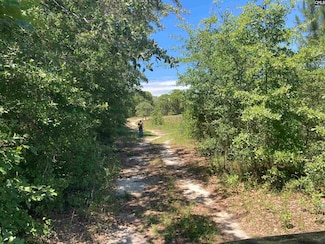1932 Thoroughfare Branch Rd, Cassatt, SC 29032