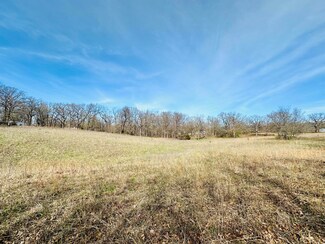 Xxx Jaguar Rd, Neosho, MO 64850