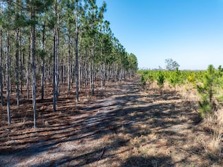 0 NW County Rd Unit 794921, Mayo, FL 32066