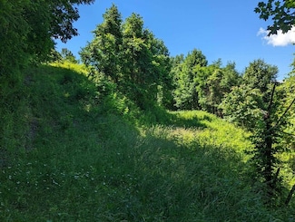 Lot 2 Hickory Ridge Cir, Hayesville, NC 28904