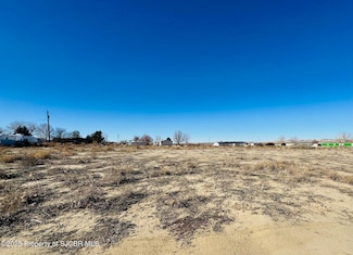 XYZ Road 4990 (R4003487), Bloomfield, NM 87413