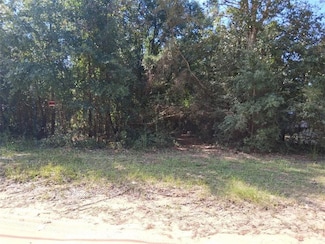 00000 Glenwood Farms Dr, Wilmer, AL 36587