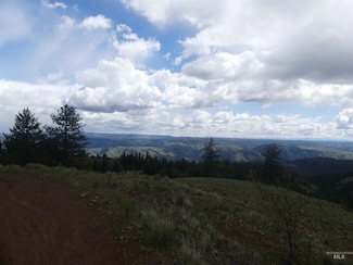 001 Hansen Ridge Rd, Anatone, WA 99401