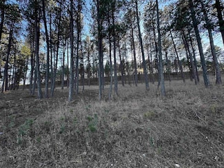Lot 1 Lechner Ln, Custer, SD 57730