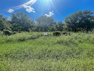 TR 6 Fm 1784, Pleasanton, TX 78064