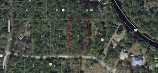 11683 W Deodar St, Crystal River, FL 34428