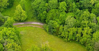 765 Leath Chapel Rd, Bethpage, TN 37022