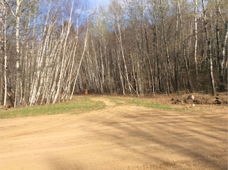 Delaware Trail, Breezy Point, MN 56472