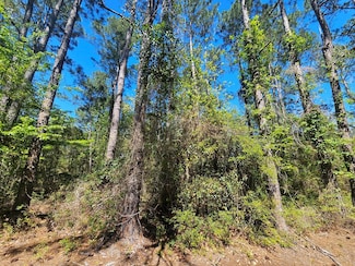 NHN E Carroll St, Bay Saint Louis, MS 39520