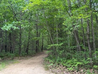 2854 N Lakeshore Rd, Sage Township, MI 48624