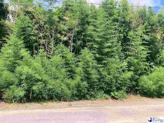 105 Elm Ct, Dillon, SC 29536