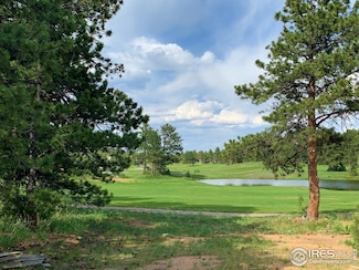 2 E Fox Meadow Ln, Red Feather Lakes, CO 80545
