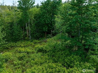 0 Valley Ridge Rd Unit NWM2335090, Chehalis, WA 98532