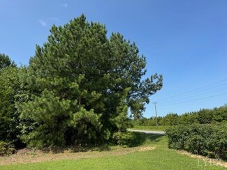 0 Mount Rush Hwy, Sprouses Corner, VA 23936