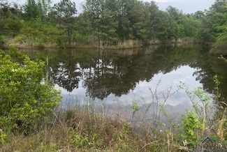 29 AC Cr 3321 Unit Talley Road, Longview, TX 75602