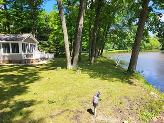 9679 Birch Ln, Evart, MI 49631