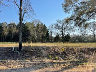 Lot E Prevatt Rd, Cowarts, AL 36321