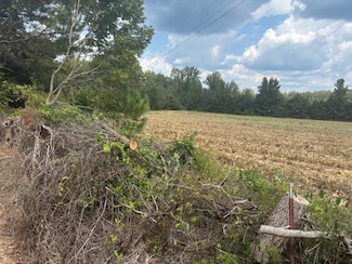 110 Reaves Rd, Middleton, TN 38052