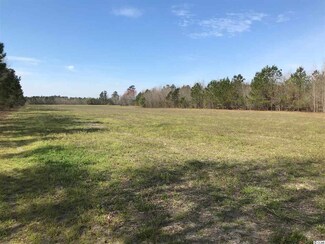 TBD Williamson Rd Unit QUAIL ROAD, Hemingway, SC 29554