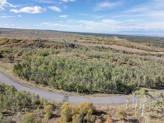 451 Birdsong Ln, Montrose, CO 81403