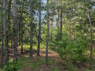 Lot 1 Marshall Rd, Appling, GA 30802
