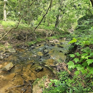 0 Woodstone Trail Unit 7600093, Ellijay, GA 30540