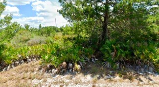 3346 Gerber Ave, Lake Placid, FL 33852