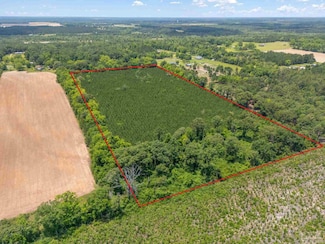 0000 Lewis Rd, Milton, FL 32570