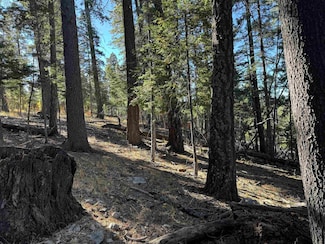 800 Shells Ln, Cloudcroft, NM 88317