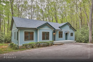 62 Plum Ct, Sapphire, NC 28774