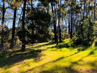 2901 Bird Rock Rd, Pebble Beach, CA 93953
