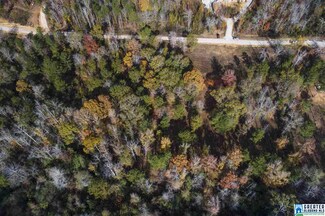1524 Mcconnell Ln Unit 11, Mount Olive, AL 35117