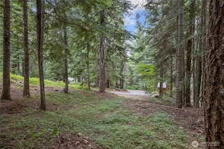 180 Alpine Ln, Easton, WA 98925